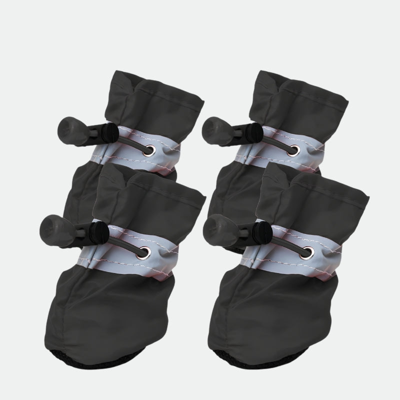 Shoe