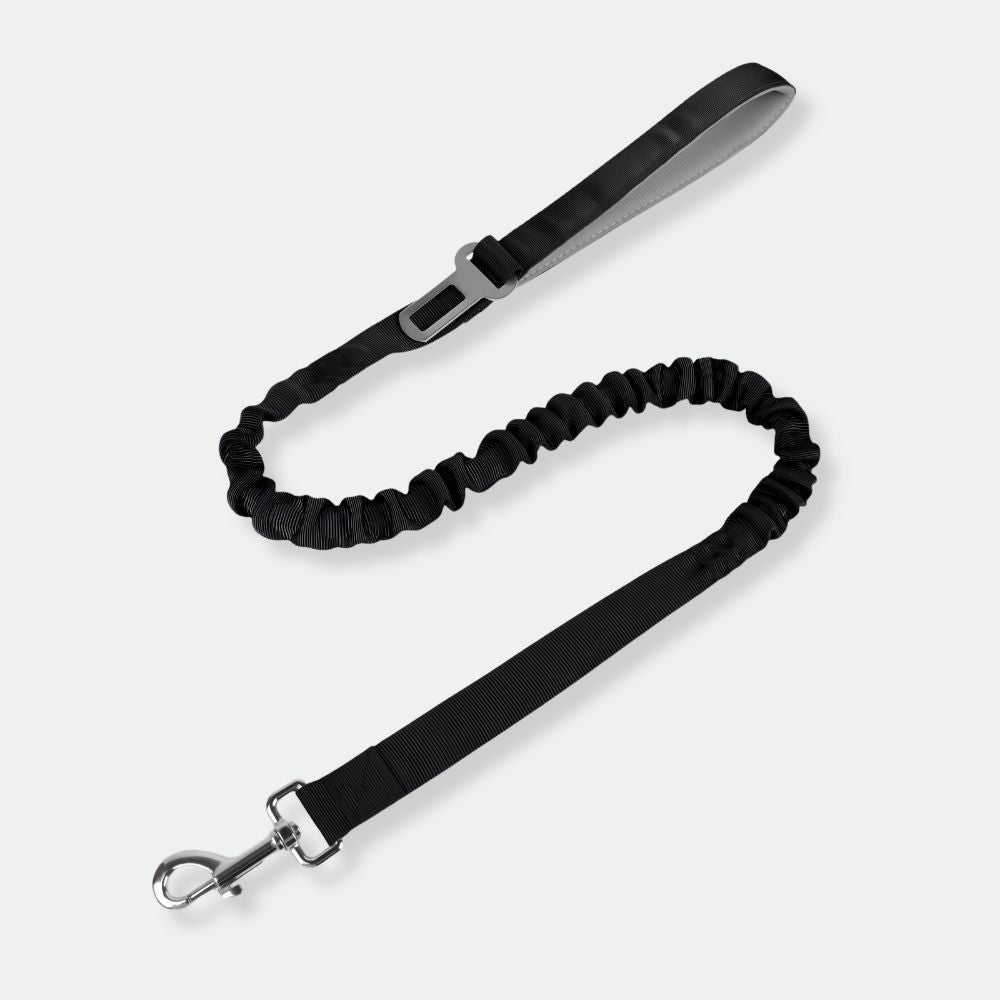 Leashes