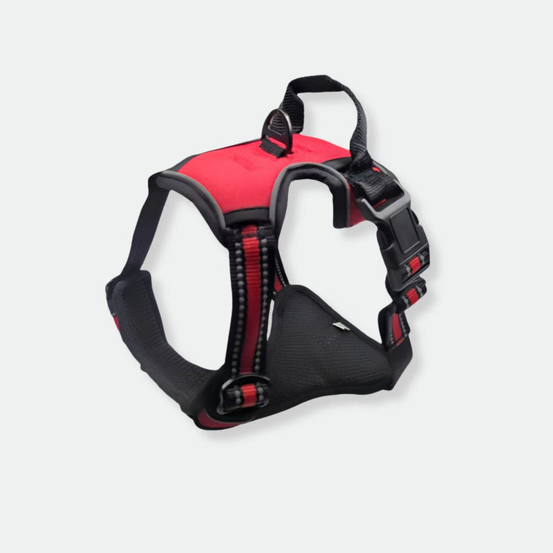 Harnesses