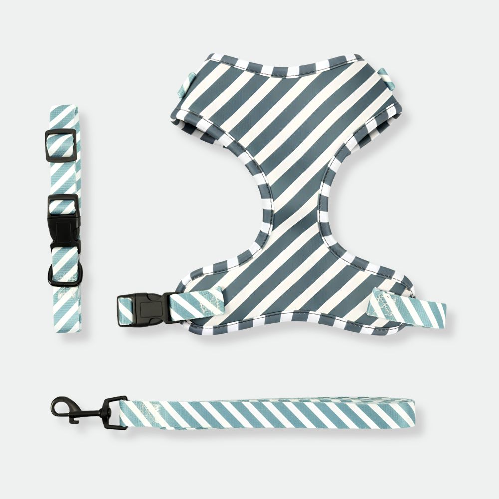 Pet Walking Sets