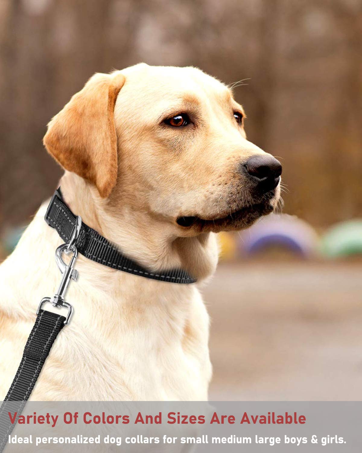 Puppy Collar with Buckle Adjustable & Reflective Dog Collar