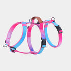 Gradient Pink