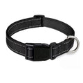Puppy Collar with Buckle Adjustable & Reflective Dog Collar