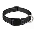 Puppy Collar with Buckle Adjustable & Reflective Dog Collar