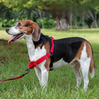 No-Pull Training Dog Harness