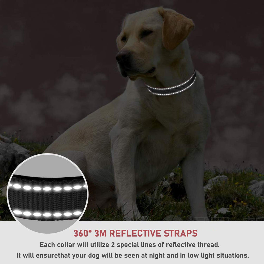Puppy Collar with Buckle Adjustable & Reflective Dog Collar