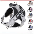 Service Dog Harness