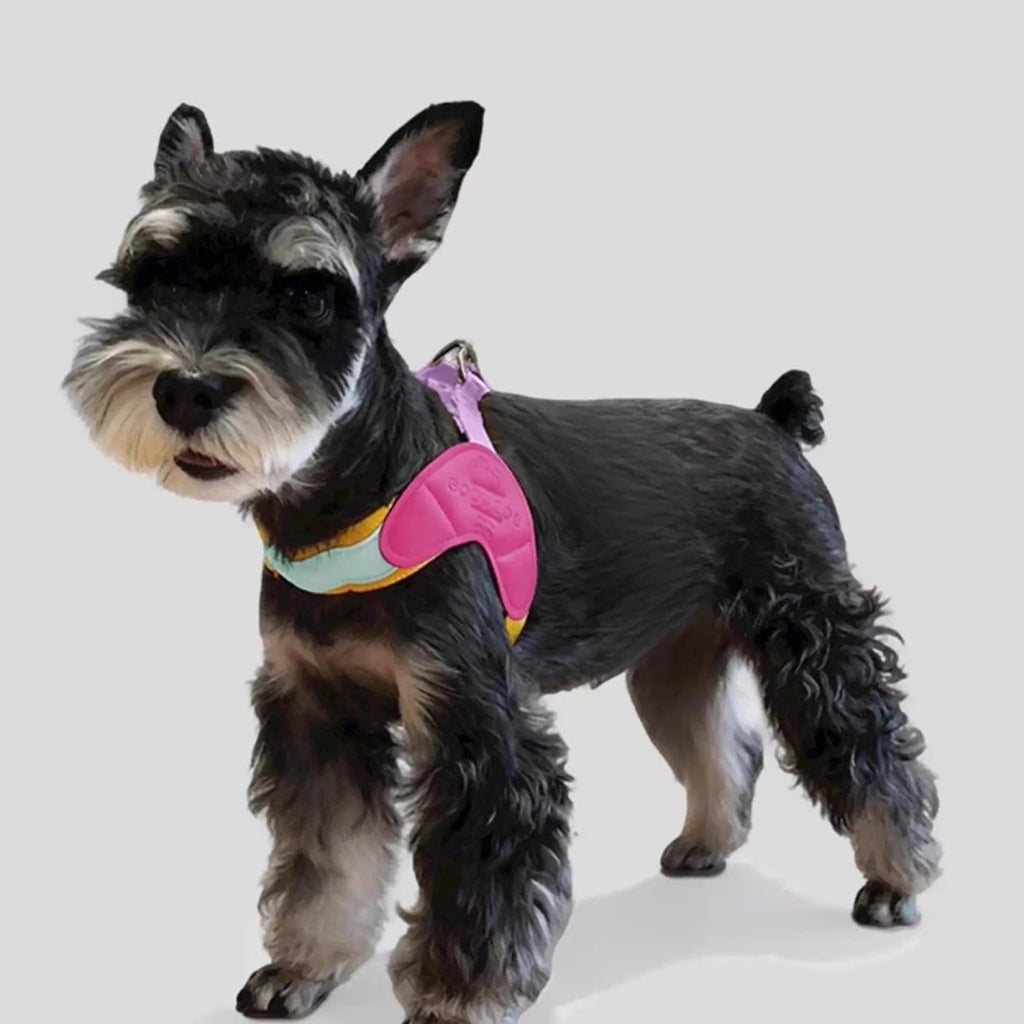 Lightweight Breathable Nylon Pet Harness for Small Dog Harness