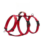 Explosion-proof medium and large dog straps