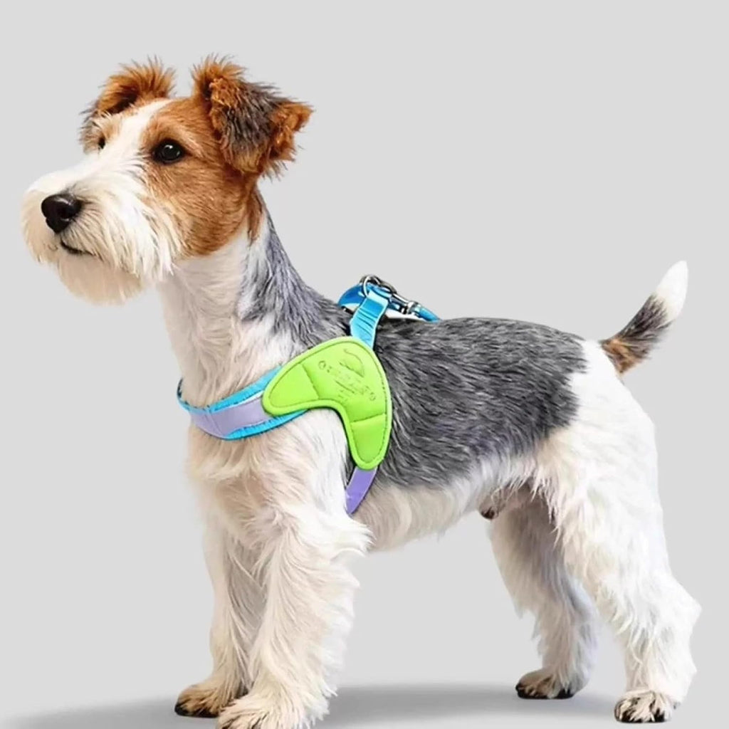 Lightweight Breathable Nylon Pet Harness for Small Dog Harness