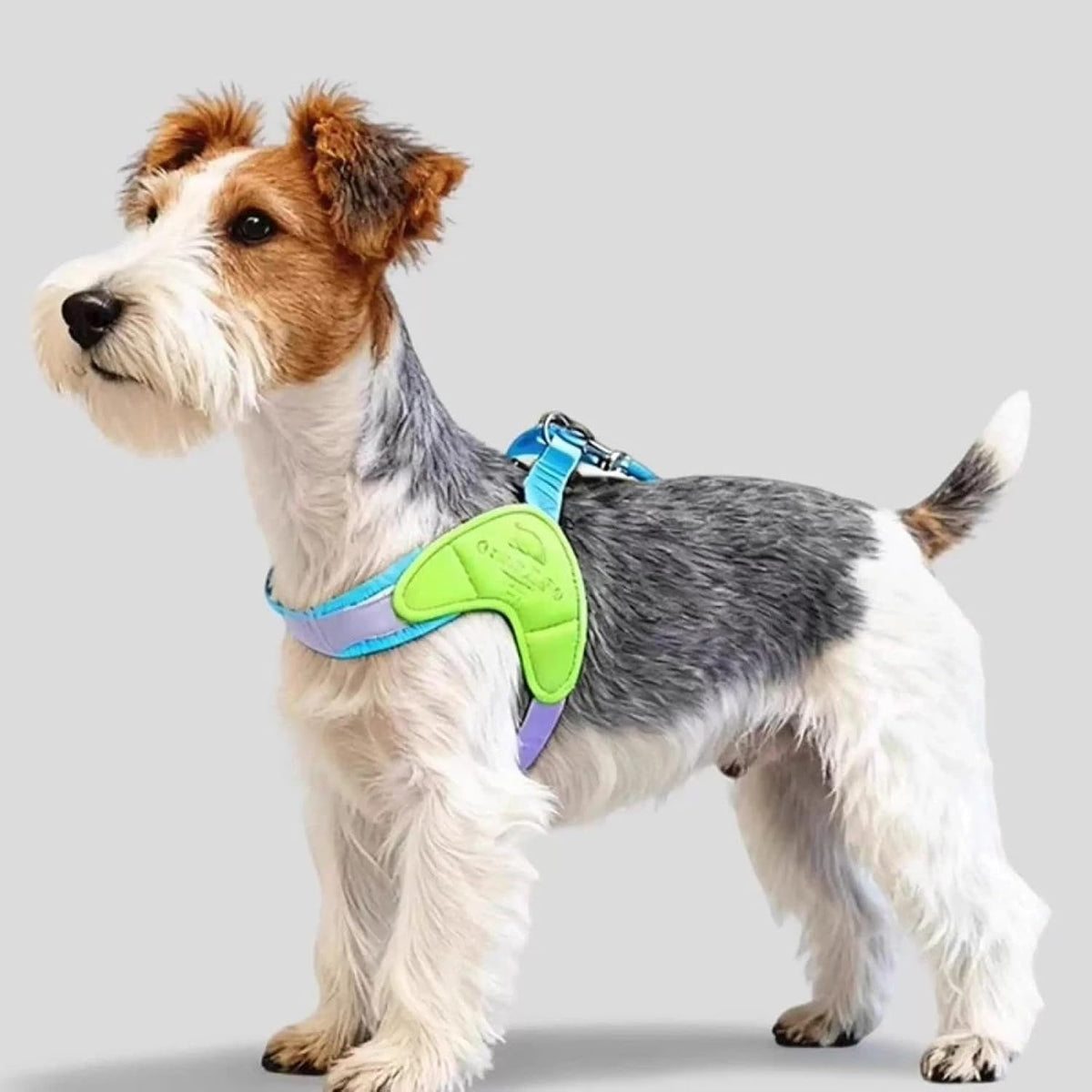 Lightweight Breathable Nylon Pet Harness for Small Dog Harness