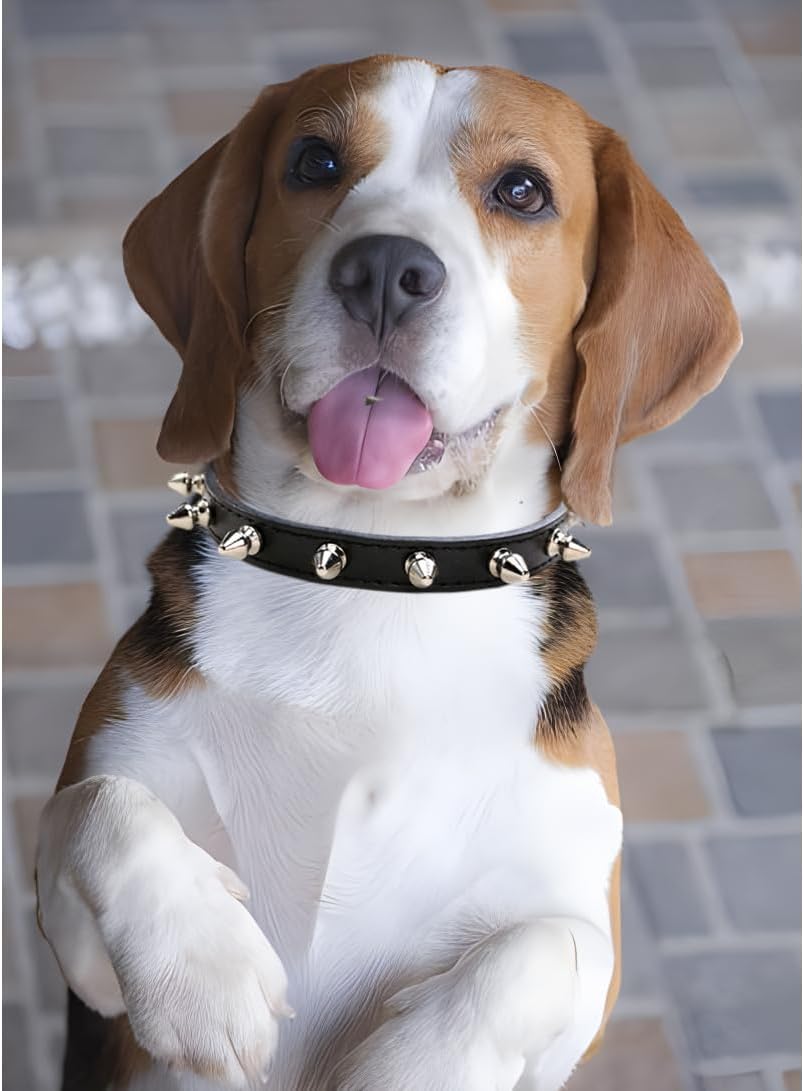 Metal Spiked Leather Collar