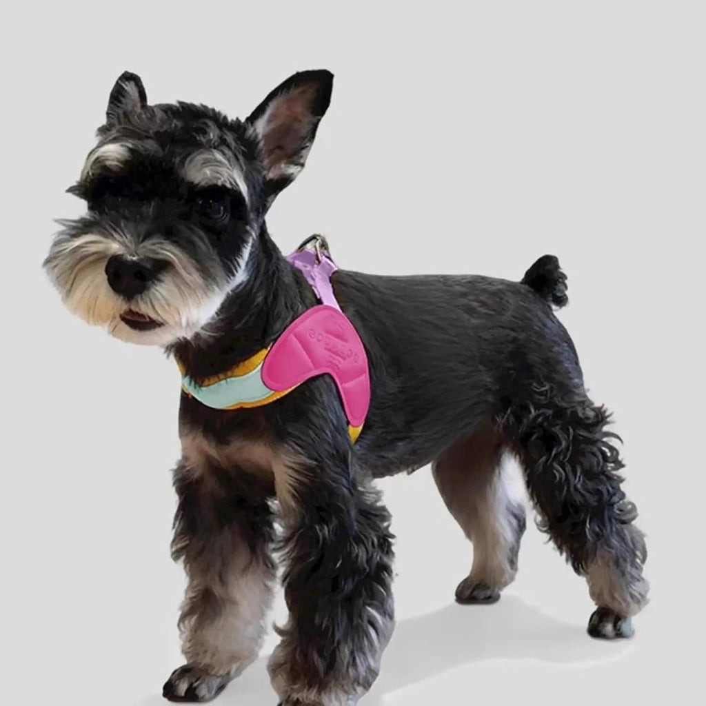 Lightweight Breathable Nylon Pet Harness for Small Dog Harness