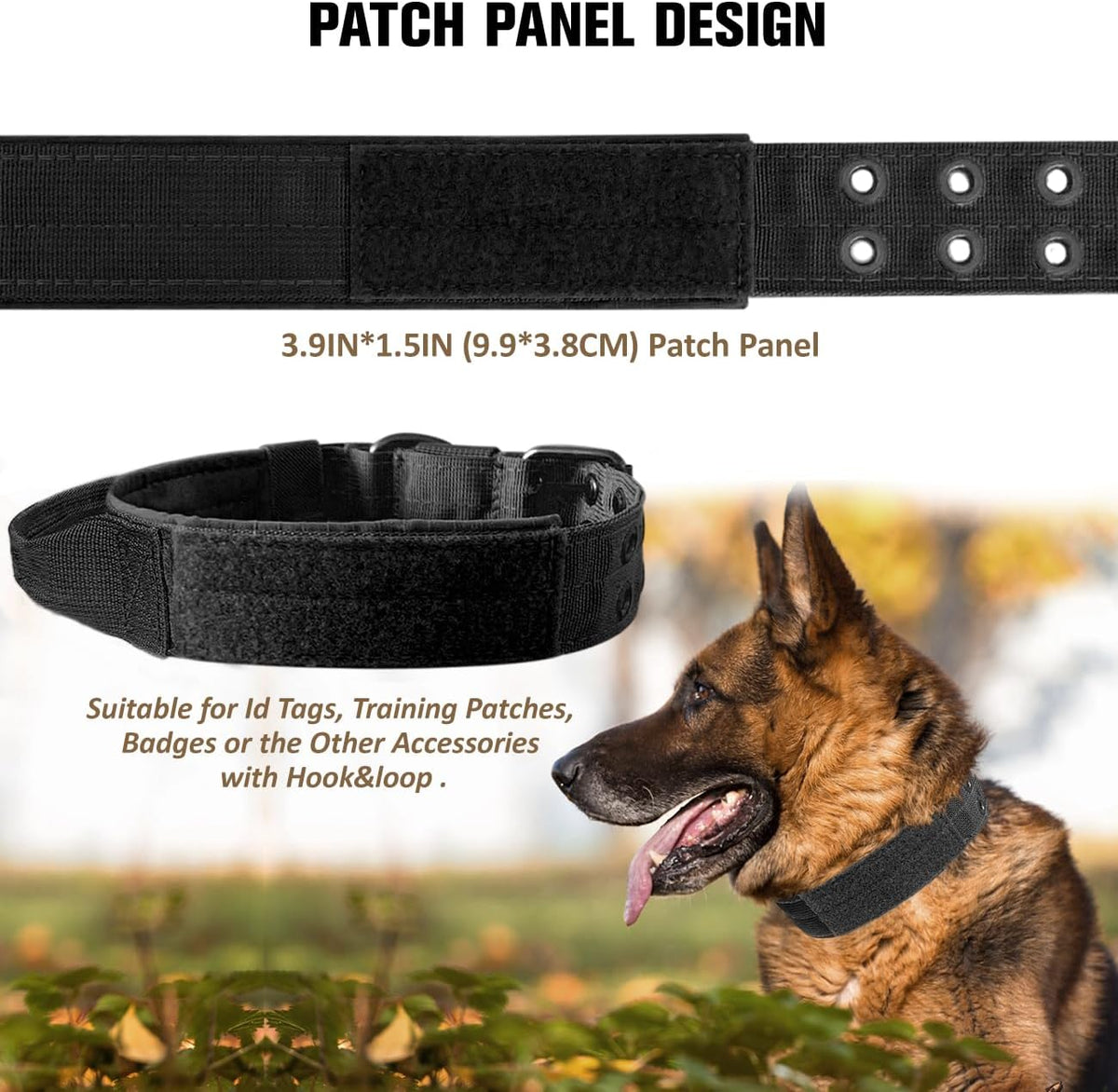 Heavy-Duty Metal Pin Buckle Padded Collar
