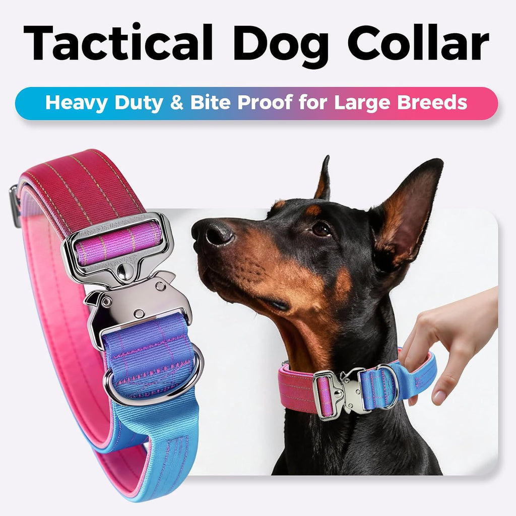 Gradient Metal Buckle Padded Dog Collar