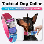 Gradient Metal Buckle Padded Dog Collar