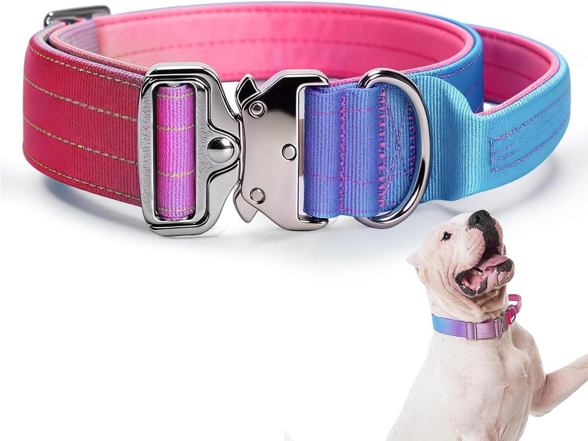 Gradient Metal Buckle Padded Dog Collar