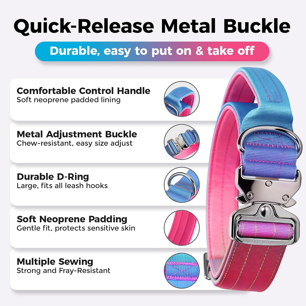 Gradient Metal Buckle Padded Dog Collar
