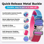 Gradient Metal Buckle Padded Dog Collar