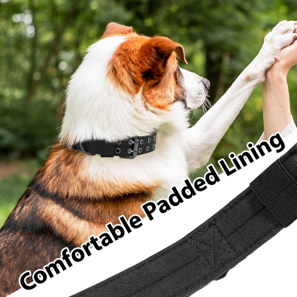 Heavy-Duty Metal Pin Buckle Padded Collar