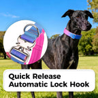 Gradient Metal Buckle Padded Dog Collar