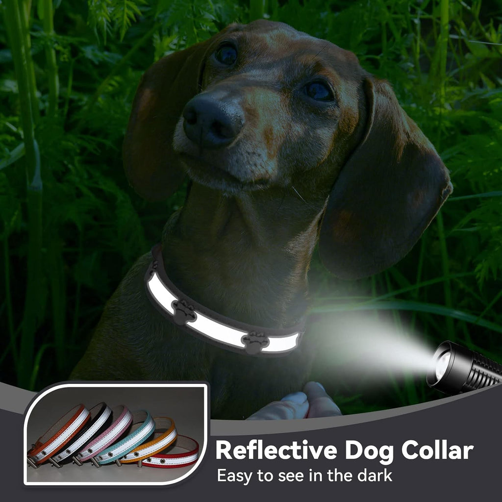 Reflective Leather Paw Print Collar