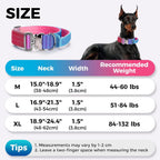 Gradient Metal Buckle Padded Dog Collar