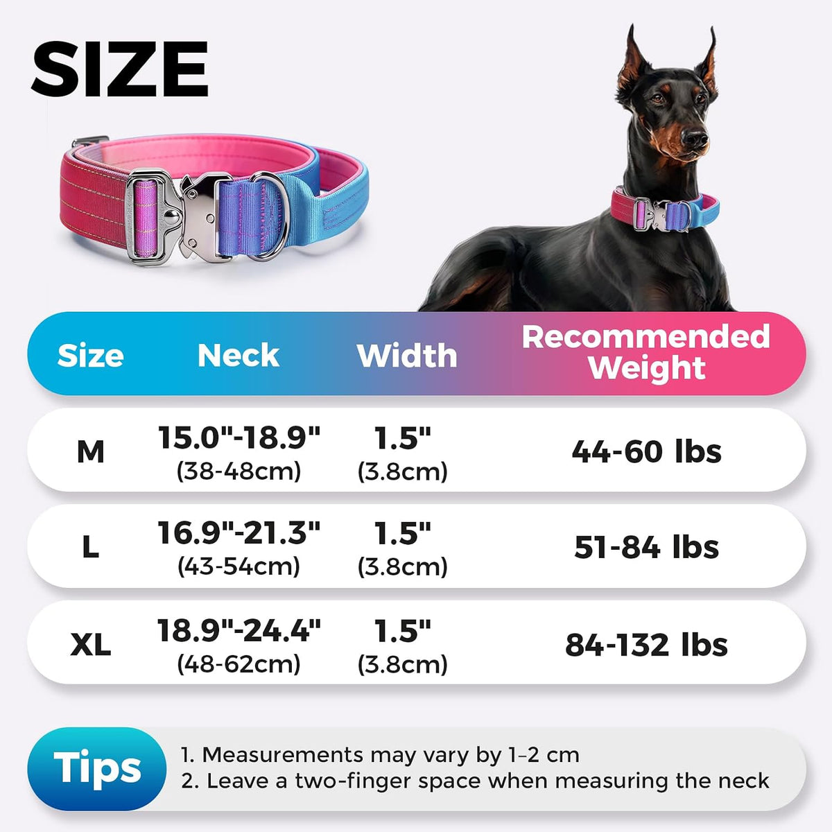 Gradient Metal Buckle Padded Dog Collar
