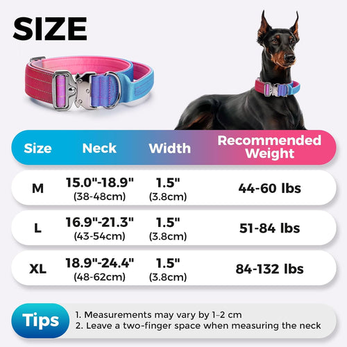 Gradient Metal Buckle Padded Dog Collar