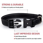 Puppy Collar with Buckle Adjustable & Reflective Dog Collar