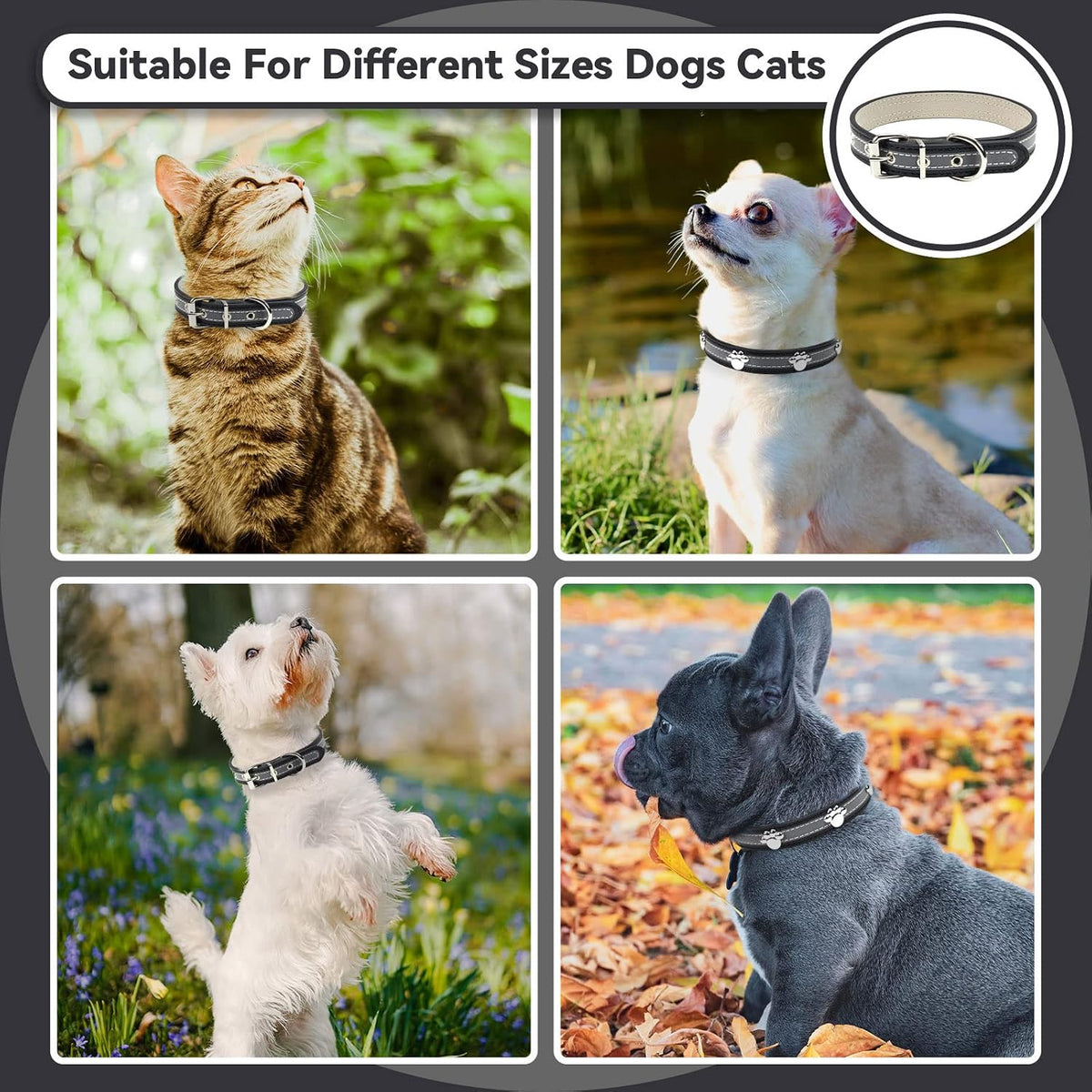 Reflective Leather Paw Print Collar