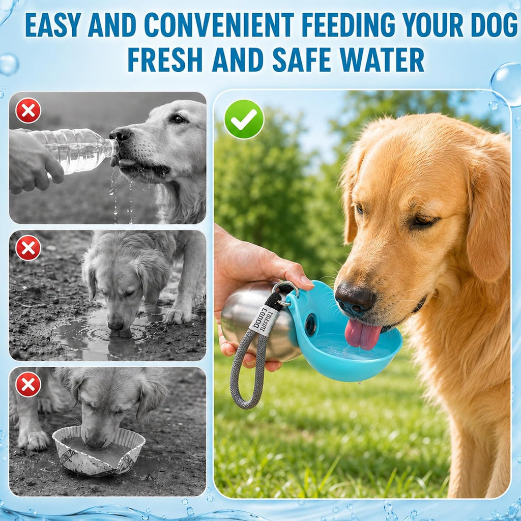 Stainless Steel Pet Water Bottle