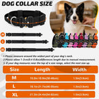 Tactical Dog Collar for Medium Large Dogs with Handle