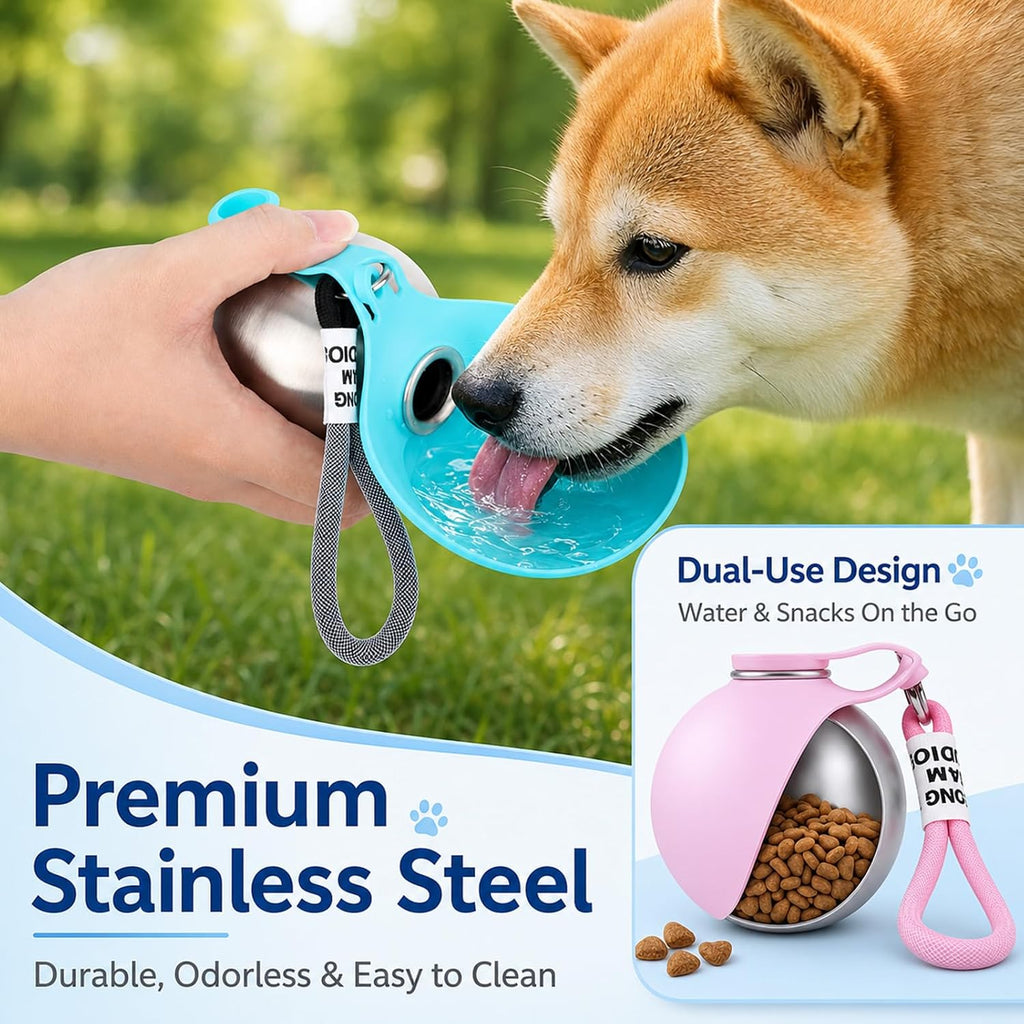Stainless Steel Pet Water Bottle