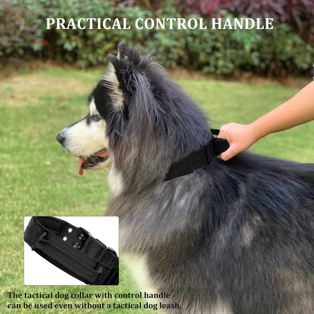 Heavy-Duty Metal Pin Buckle Padded Collar
