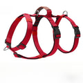 Explosion-proof medium and large dog straps