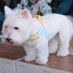 Lightweight Breathable Nylon Pet Harness for Small Dog Harness