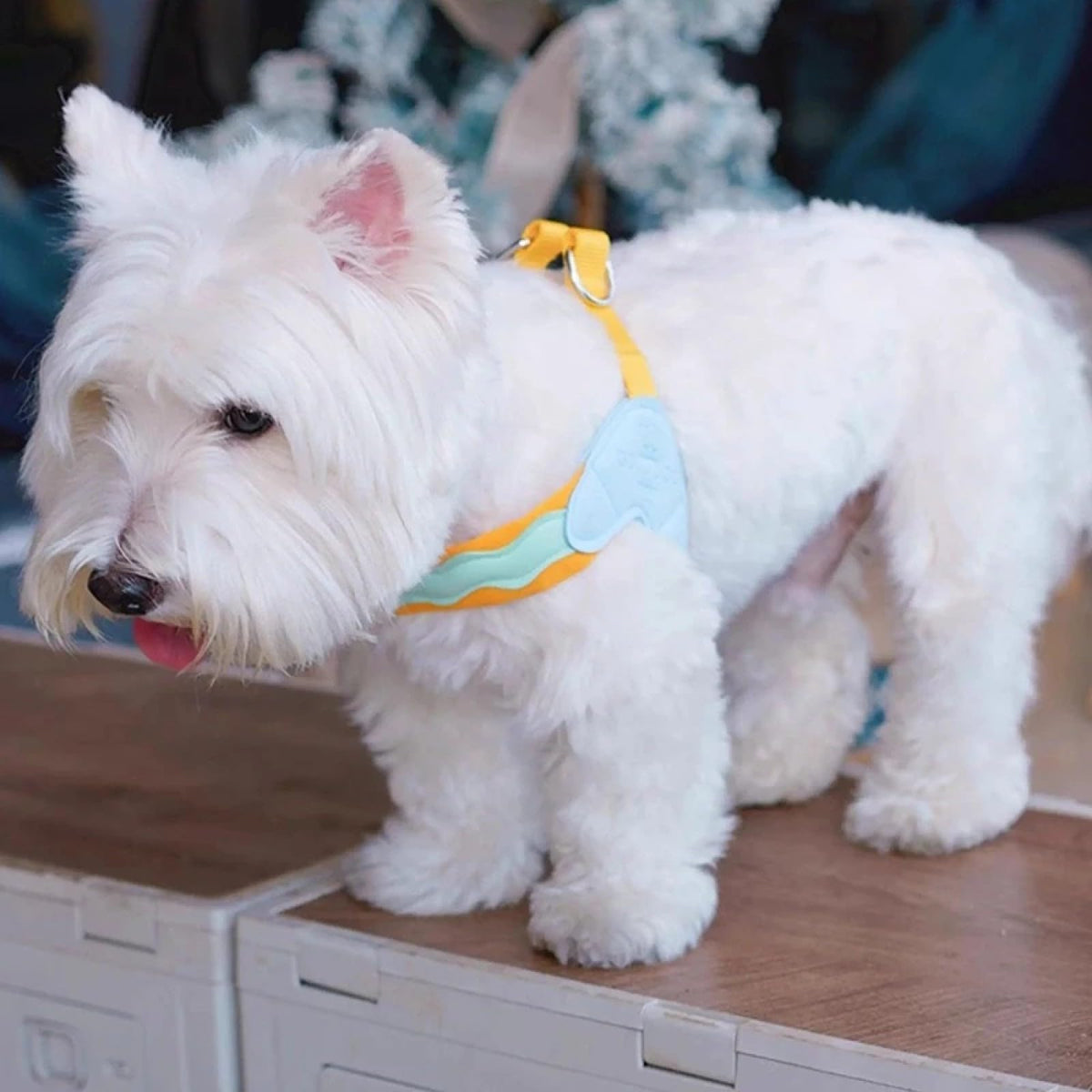 Lightweight Breathable Nylon Pet Harness for Small Dog Harness