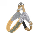 Silver - Yellow