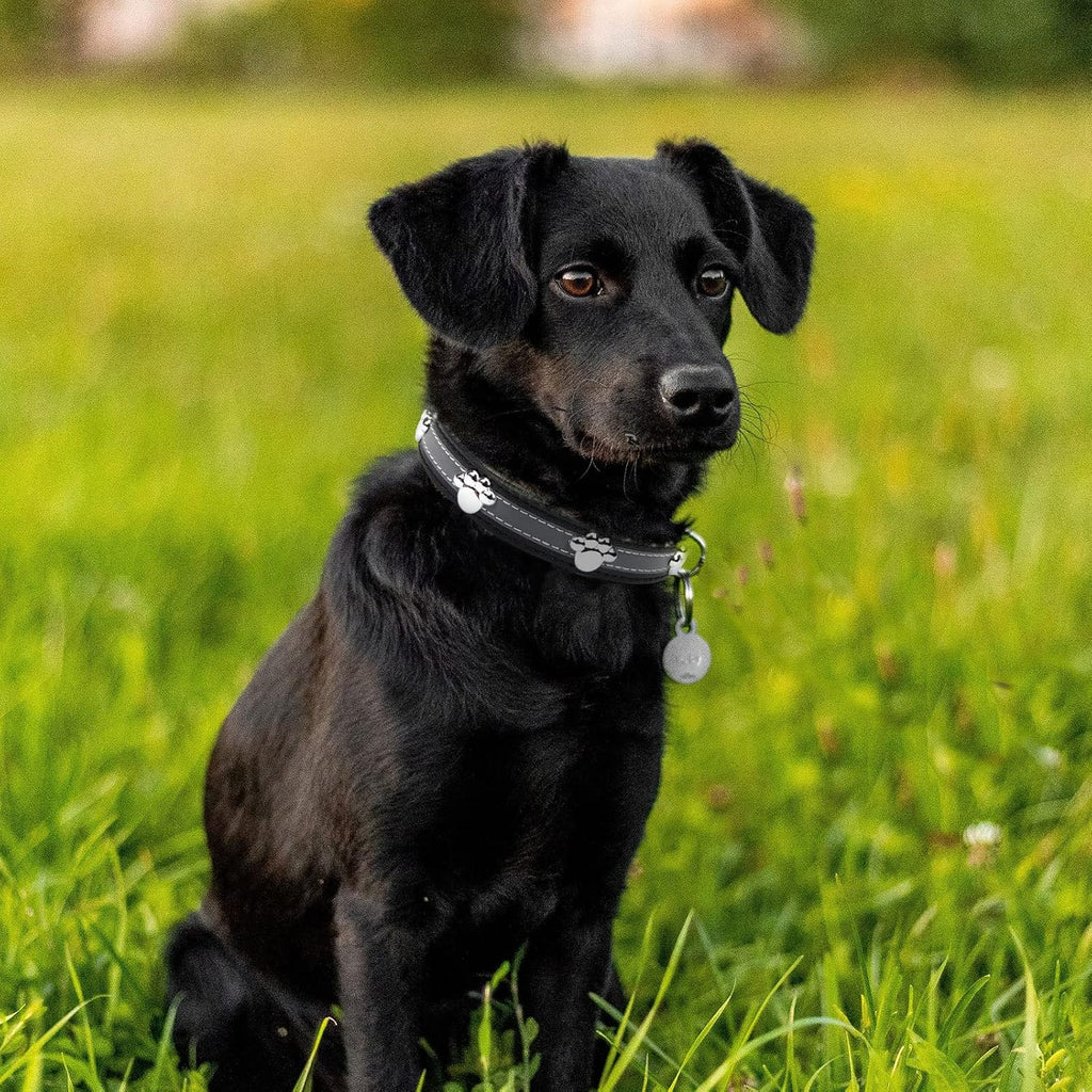 Reflective Leather Paw Print Collar