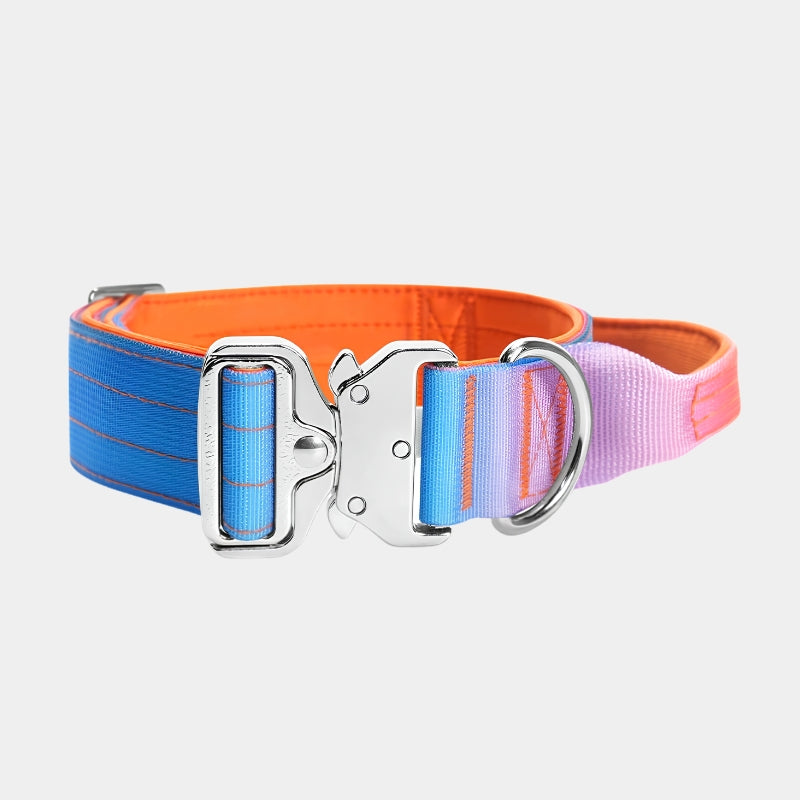 Gradient Metal Buckle Padded Dog Collar