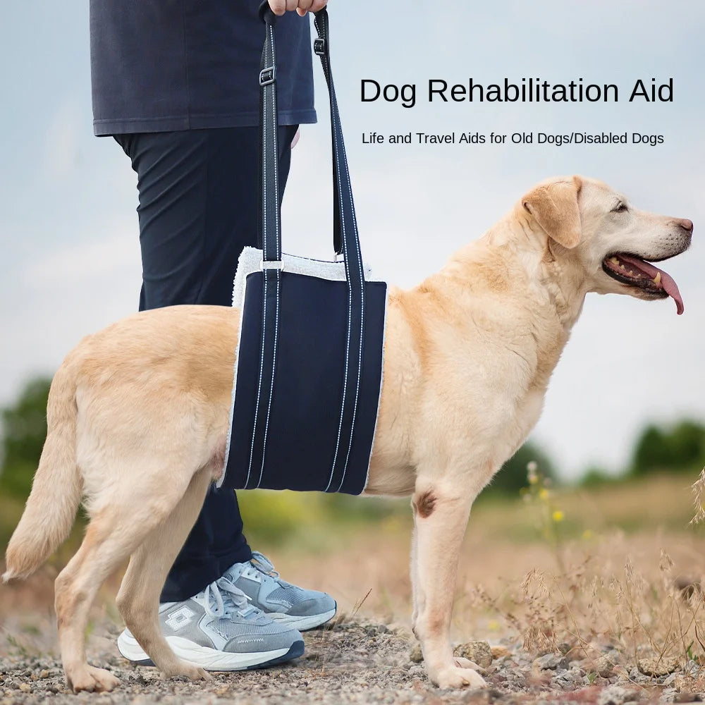 Pet Rehabilitation Lifting Harness