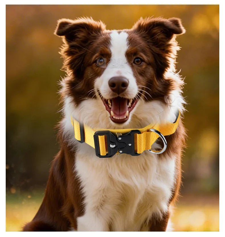 No-Pull Tactical Dog Collar
