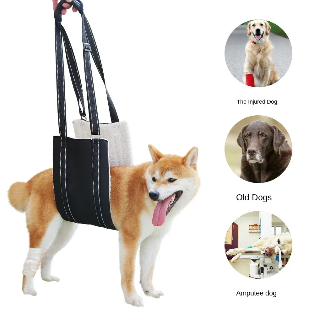 Pet Rehabilitation Lifting Harness
