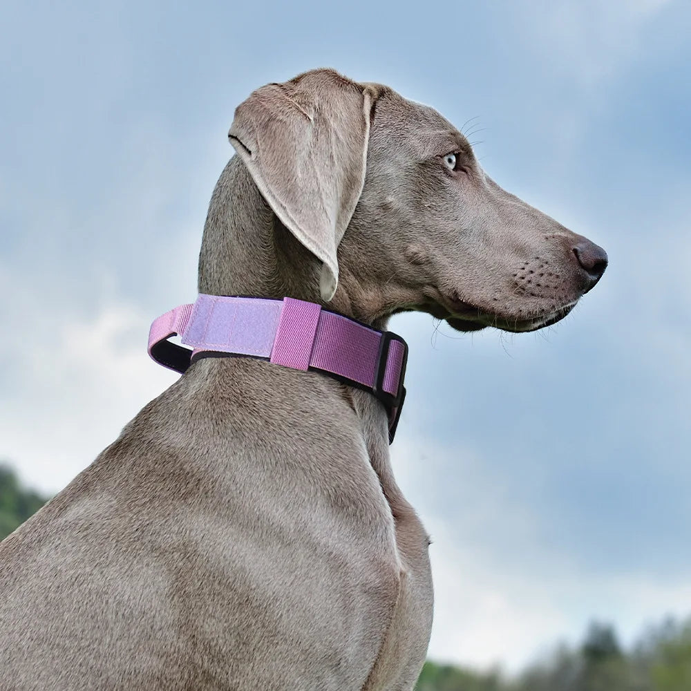 No-Pull Tactical Dog Collar