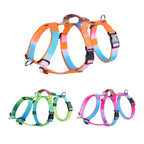 Leather Handle Multi-Point No-Pull Dog Harness