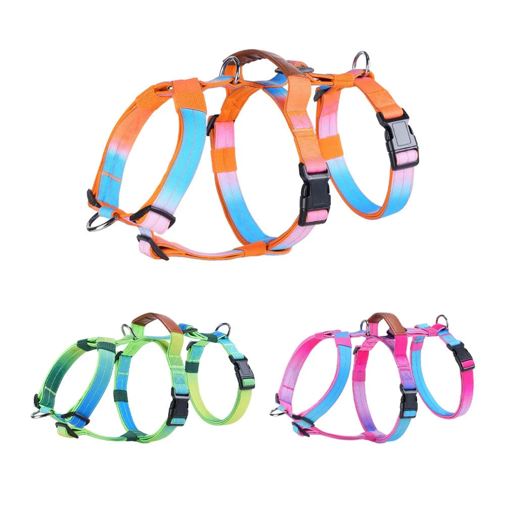 Leather Handle Multi-Point No-Pull Dog Harness