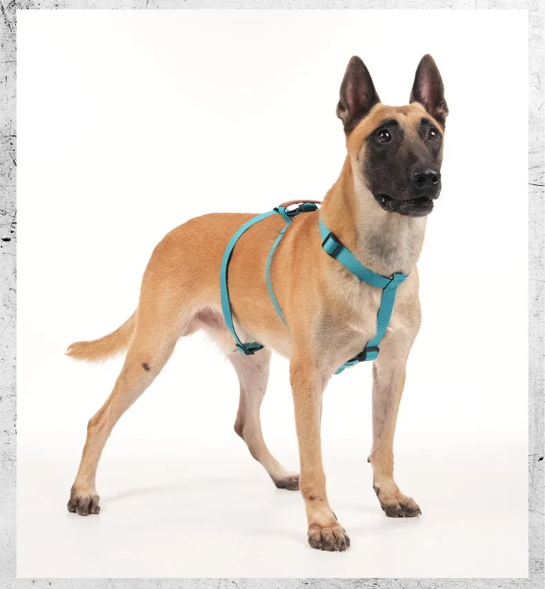 Leather Handle Multi-Point No-Pull Dog Harness