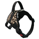 leopard print