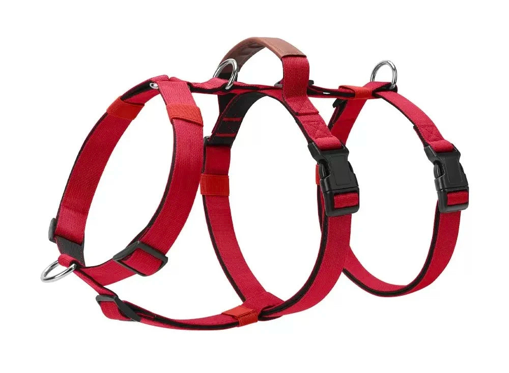 Leather Handle Multi-Point No-Pull Dog Harness